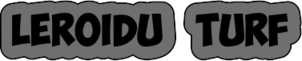 leroiduturf